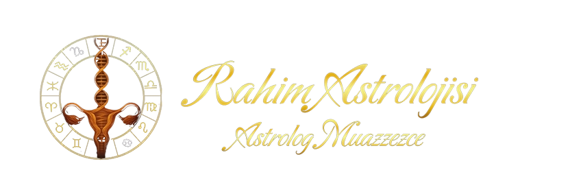 Kurumsal V22 İnternet Sitesi